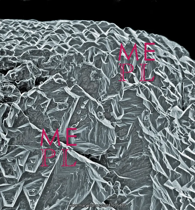 : Sea salt. A scanning electron microscope (SEM) image of sea salt : Sea salt. A scanning electron microscope (SEM) image of sea salt