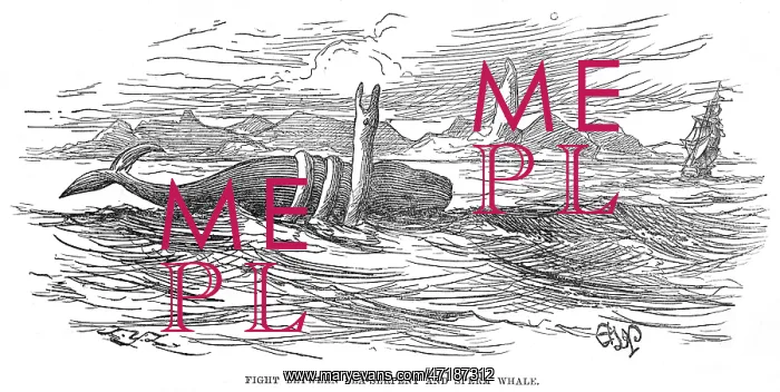 : SEA SERPENT / 1875 BRAZIL : SEA SERPENT / 1875 BRAZIL