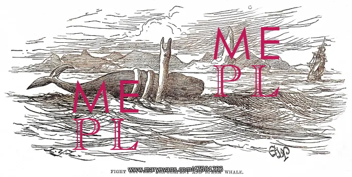 : SEA SERPENT / 1875 BRAZIL : SEA SERPENT / 1875 BRAZIL