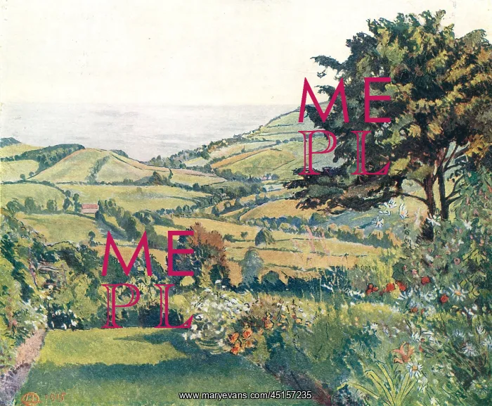 : Sea View, Fishponds : Sea View, Fishponds