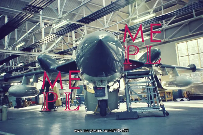 : Sea Vixens at Halton : Sea Vixens at Halton