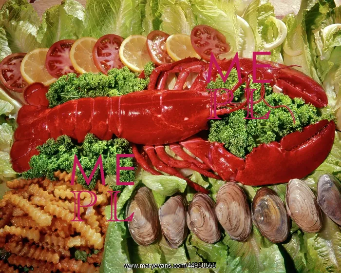 : Seafood Red Boiled Lobster with Clams Displayed : Seafood Red Boiled Lobster with Clams Displayed