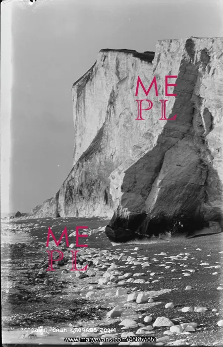 : Seaford Head Cliffs : Seaford Head Cliffs