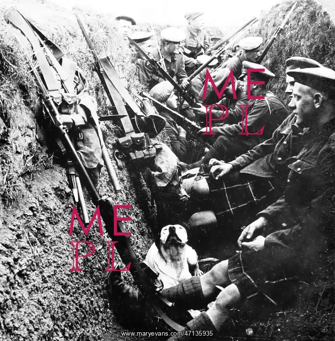  : Seaforth Highlanders (and dog) during the First World War