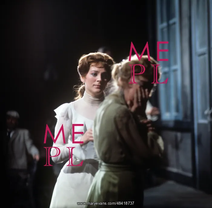 : The Seagull performance, 1970 : The Seagull performance, 1970