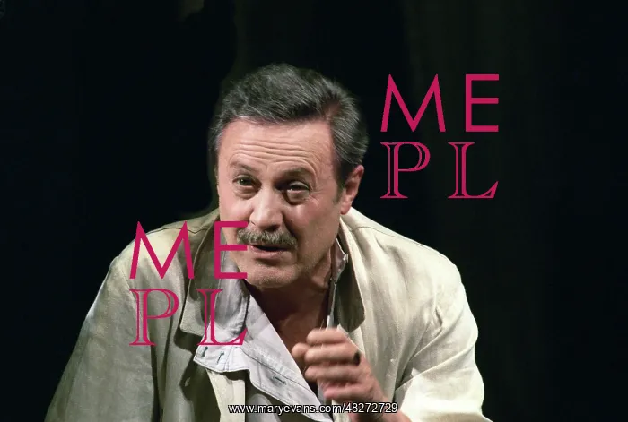 : The Seagull performance, 1999 : The Seagull performance, 1999