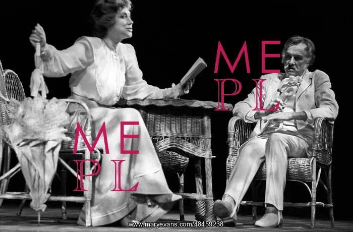 : The Seagull play, 1985 : The Seagull play, 1985