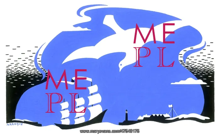: Seagull and Ship : Seagull and Ship