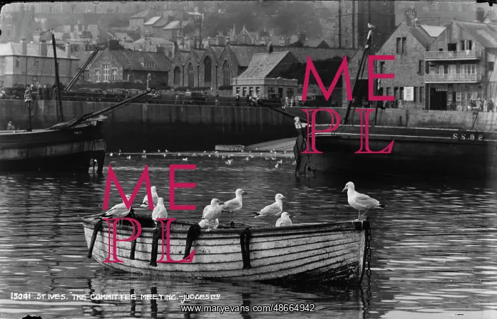 : Seagulls on a Boat in St. Ives : Seagulls on a Boat in St. Ives