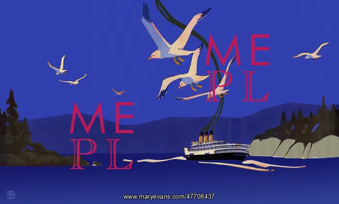  : Seagulls Following Ship