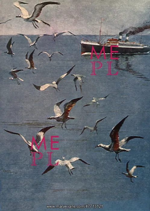  : Seagulls and Ship