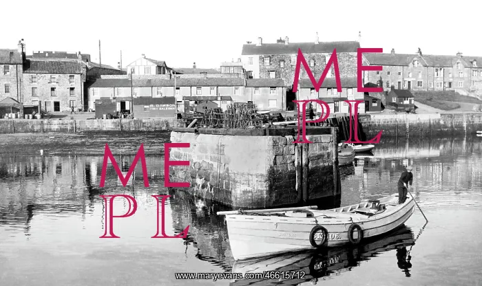  : Seahouses, the Harbour c1936