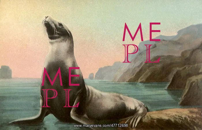  : Seal