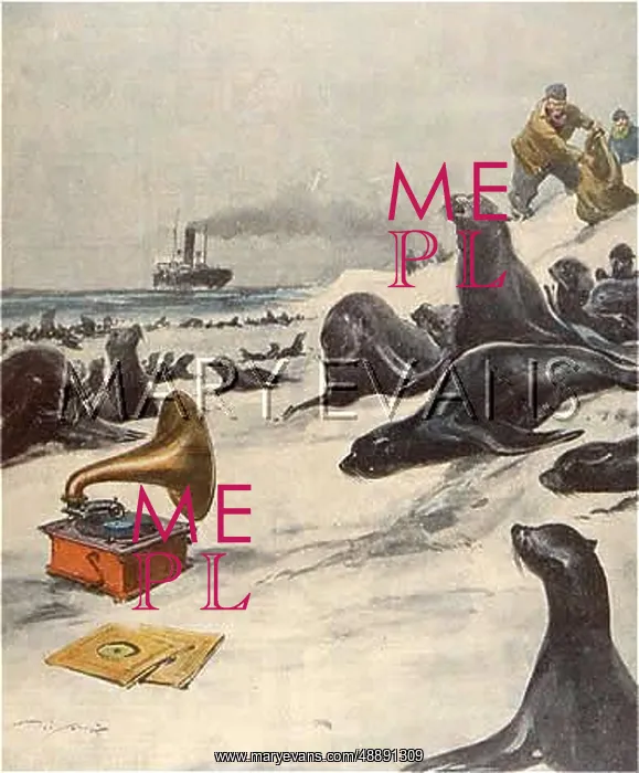 : SEALS & GRAMOPHONE : SEALS & GRAMOPHONE