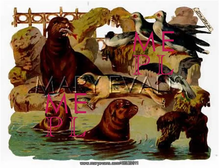  : SEALS SCRAP