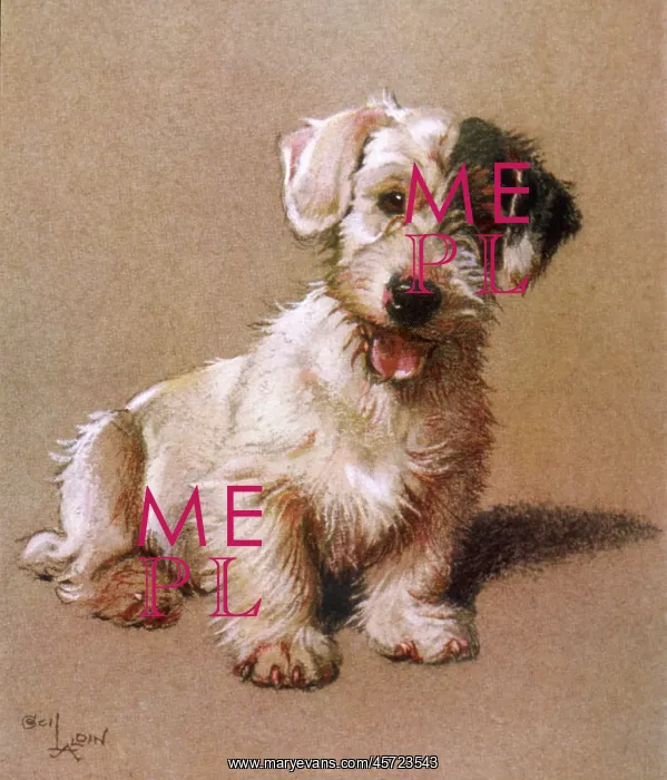  : Sealyham Terrier