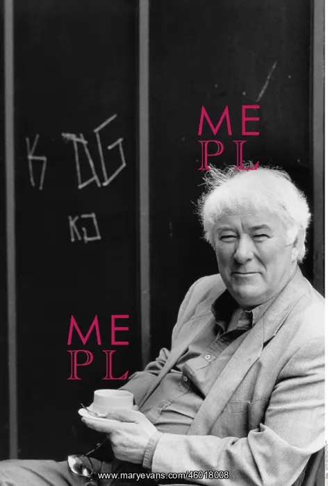 : Seamus Heaney, Irish poet : Seamus Heaney, Irish poet