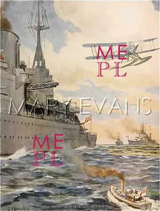 : SEAPLANE CATAPULTED : SEAPLANE CATAPULTED