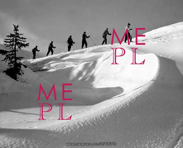 : Search for missing skiier : Search for missing skiier