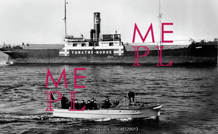 : Search of neutral ships, 1939 : Search of neutral ships, 1939
