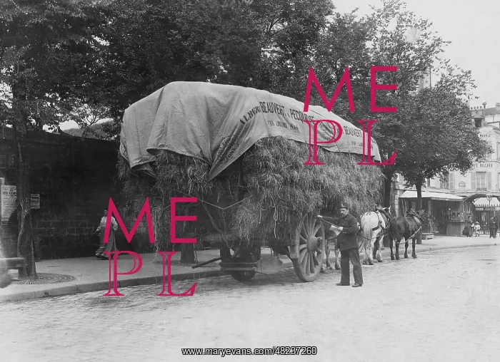 : Searching a straw wagon after contraband in Paris, 1911 : Searching a straw wagon after contraband in Paris, 1911