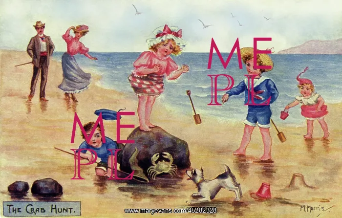 : Seashore. Hunting for crabs : Seashore. Hunting for crabs