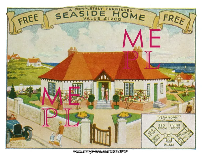 : SEASIDE BUNGALOW : SEASIDE BUNGALOW