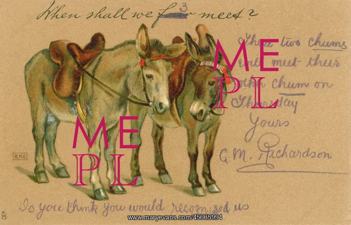 : Two seaside donkeys chat between rides : Two seaside donkeys chat between rides