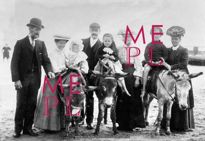 : SEASIDE FAMILY : SEASIDE FAMILY