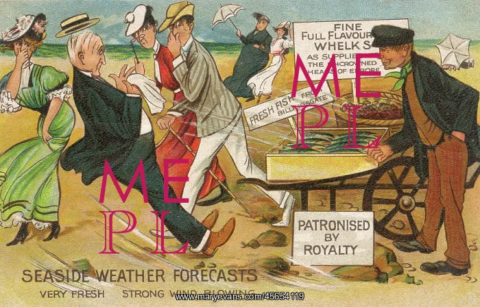 : Seaside Weather Forecasts - Strong smelling Fish : Seaside Weather Forecasts - Strong smelling Fish