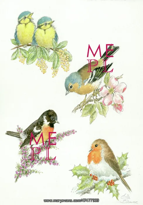  : Four Seasons blue tits, chaffinch, stonechat, robin