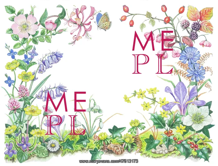 : Four Seasons floral border design : Four Seasons floral border design