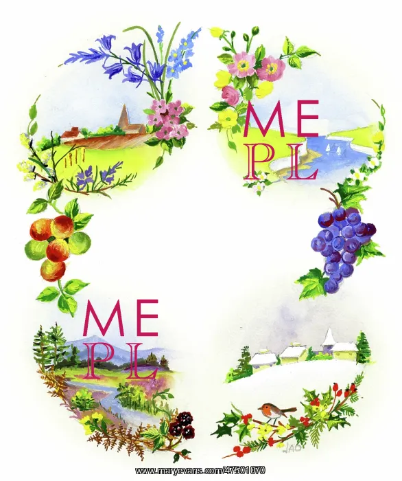 : The four seasons with flowers and fruit : The four seasons with flowers and fruit
