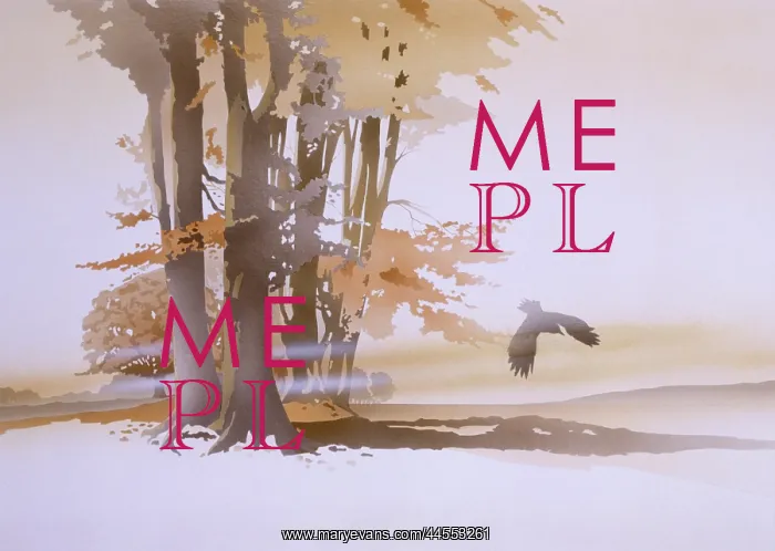 : Seasons - An October Morning : Seasons - An October Morning