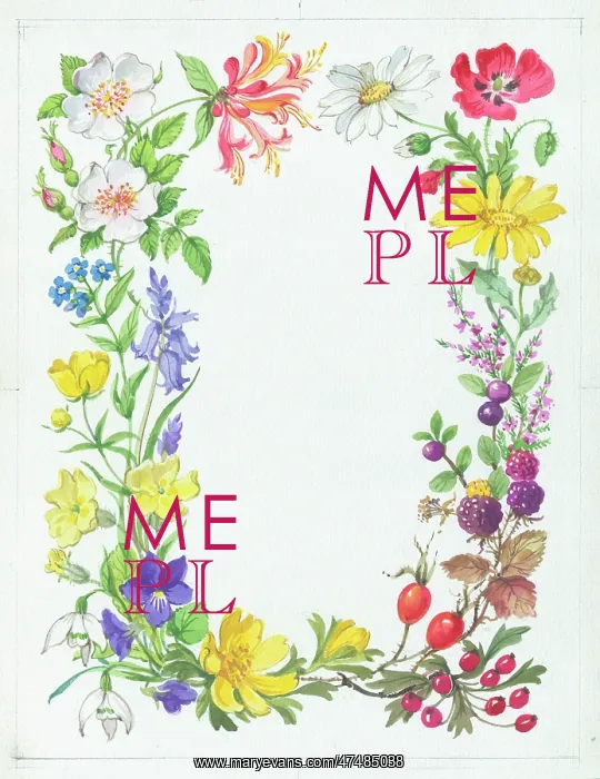  : Four seasons wild flower border