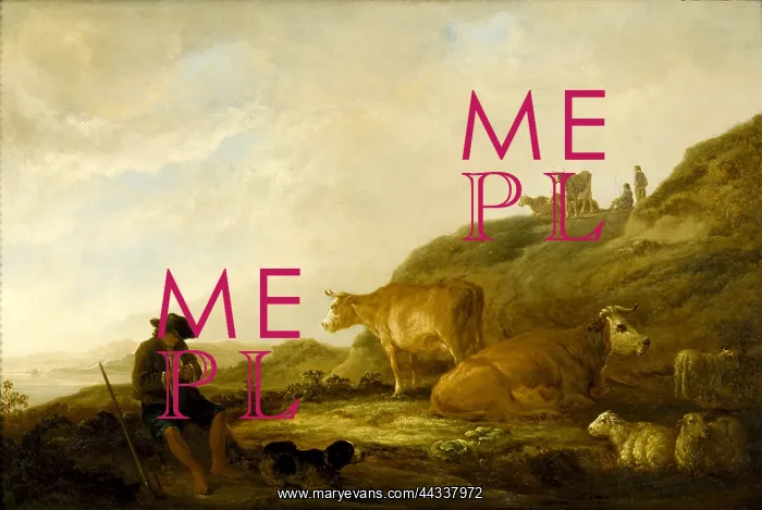 : Seated Shepherd with Cows and Sheep in a Meadow, Cuyp : Seated Shepherd with Cows and Sheep in a Meadow, Cuyp