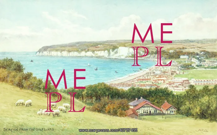 : Seaton, Devon, viewed from the golf links : Seaton, Devon, viewed from the golf links