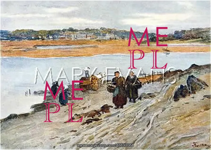 : SEAWEED GATHERING FRANCE : SEAWEED GATHERING FRANCE