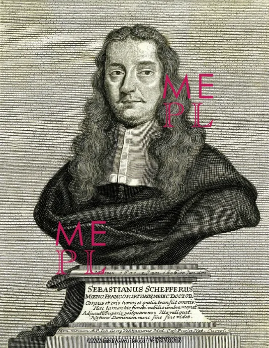  : Sebastian Scheffer