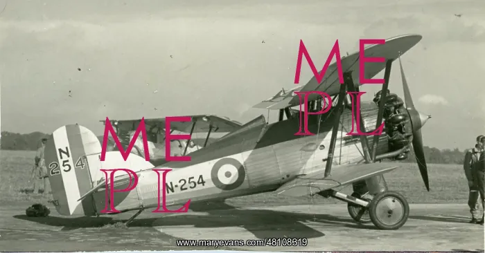: The second Gloster Gnatsnapper I, N254 : The second Gloster Gnatsnapper I, N254