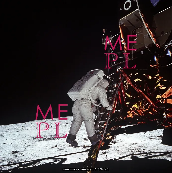 : Second man on the Moon. Astronaut Edwin ? : Second man on the Moon. Astronaut Edwin ?
