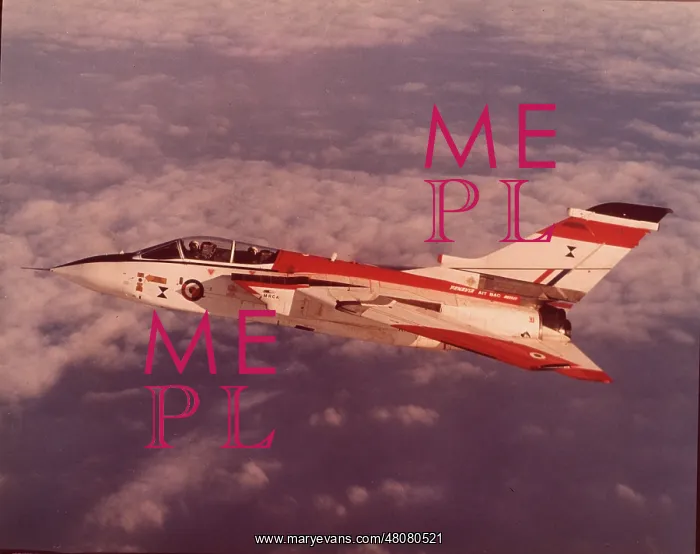 : The second prototype Panavia Tornado, XX946 : The second prototype Panavia Tornado, XX946
