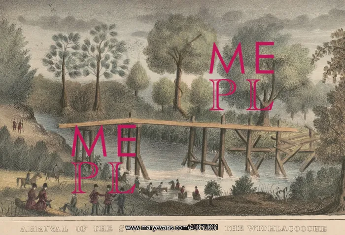 : Second Seminole War, 1835-42. Battle of Ouithlacoochie : Second Seminole War, 1835-42. Battle of Ouithlacoochie