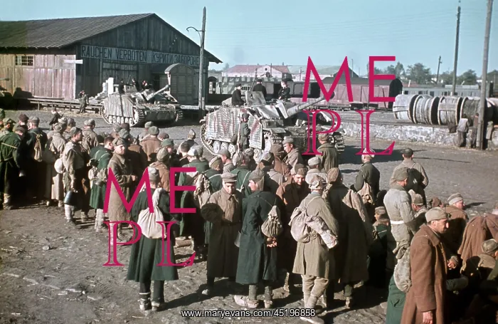 : Second World War - Eastern Front - prisoners of war : Second World War - Eastern Front - prisoners of war