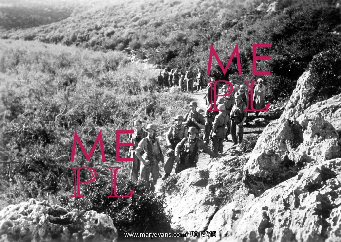 : Second World War - fights in Tunisia : Second World War - fights in Tunisia