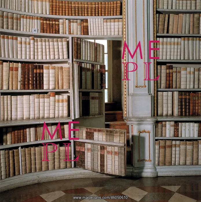 : Secret door in the library : Secret door in the library