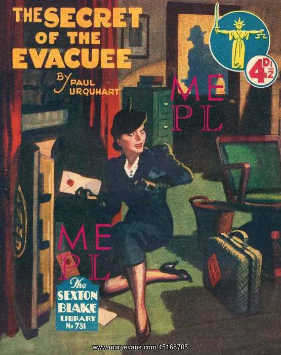 : The Secret Of The Evacuee : The Secret Of The Evacuee