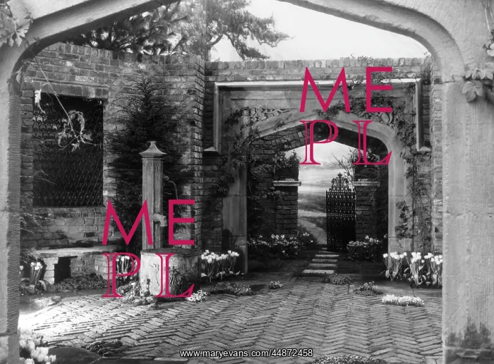 : SECRET GARDEN : SECRET GARDEN