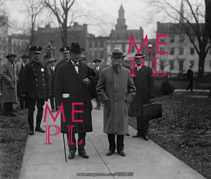: Secretary of the Interior, Albert B. Fall, ? : Secretary of the Interior, Albert B. Fall, ?