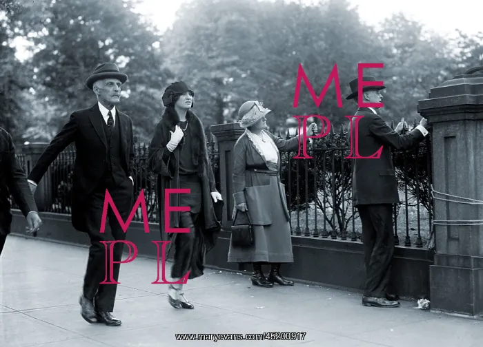 : Secretary of the Treasury Andrew Mellon ? : Secretary of the Treasury Andrew Mellon ?